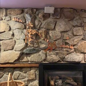 Meet your Posher, Jack